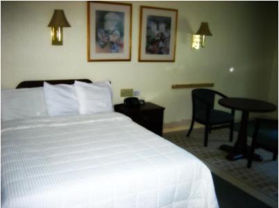 Inn At Arbor Ridge Hotel And Conference Center 호프웰 정션 객실 사진